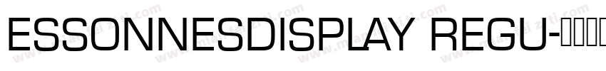 ESSONNESDISPLAY REGU字体转换